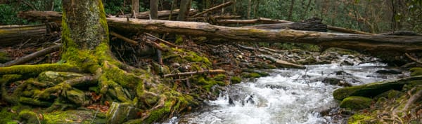 How Was Your Winter?